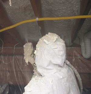  VA crawl space insulation